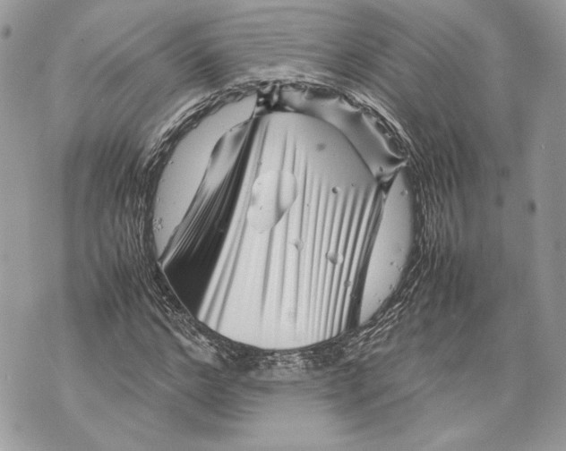 X0000070190968200606161547