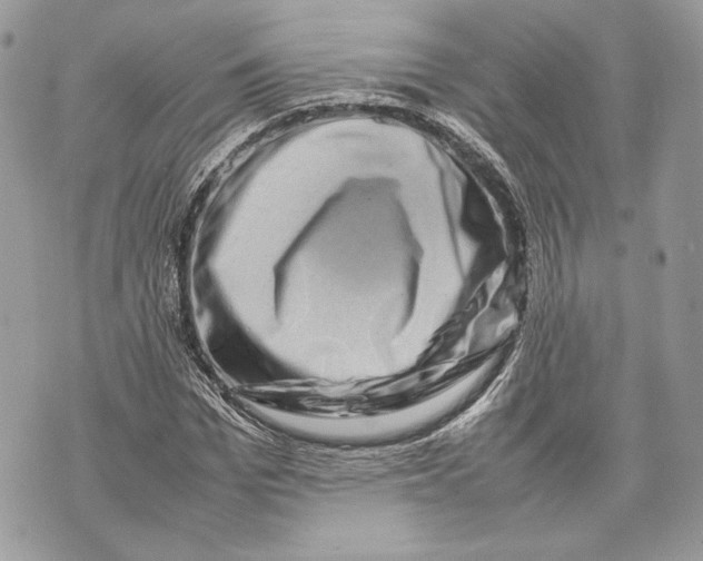 X0000070190969200606161547