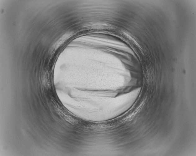 X0000070190970200606161547