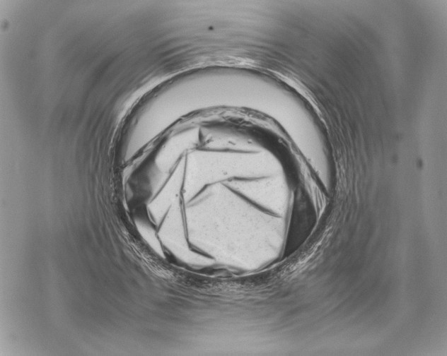 X0000070190971200606161547