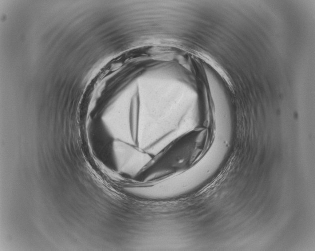 X0000070190972200606161547