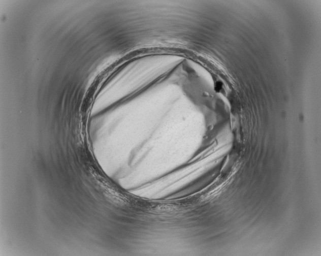 X0000070190974200606161547