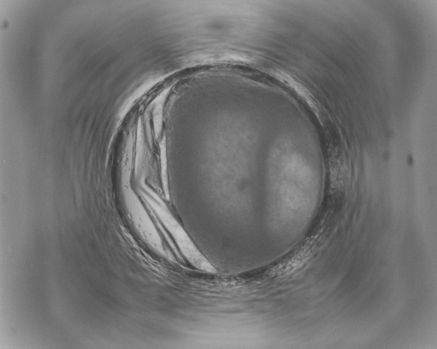 X0000070190975200606161547