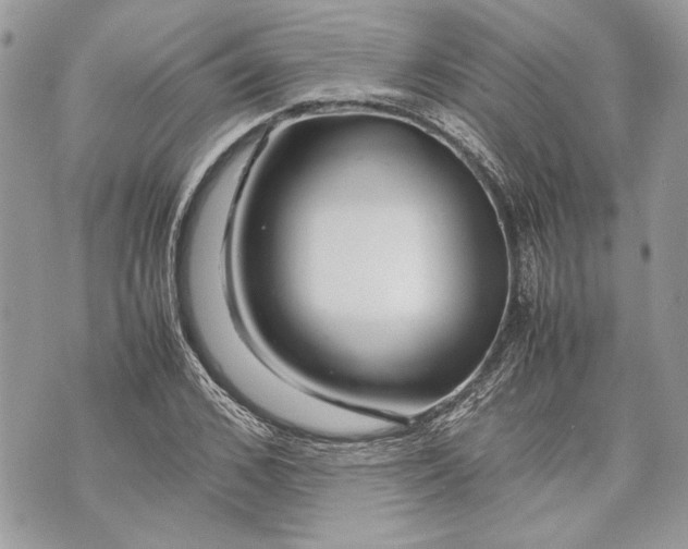 X0000070190976200606161547