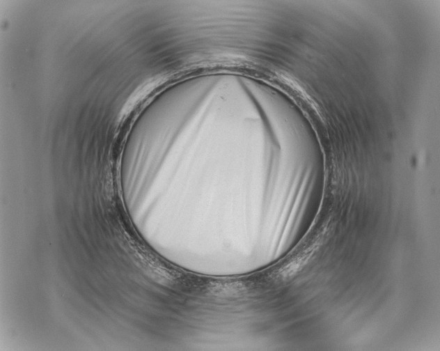 X0000070190978200606161546