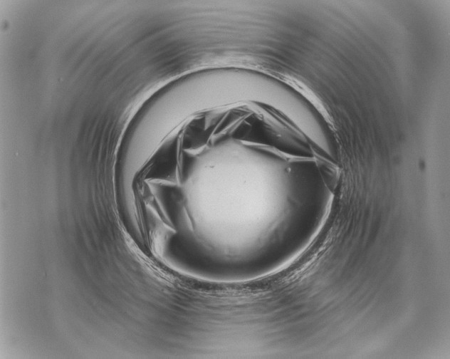 X0000070190980200606161546