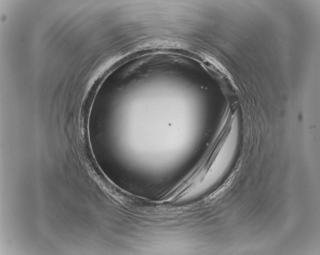 X0000070190981200606161546