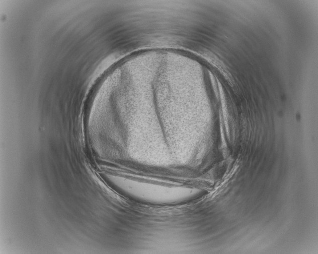 X0000070190982200606161546