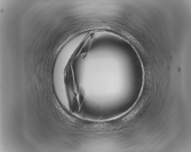 X0000070190985200606161546