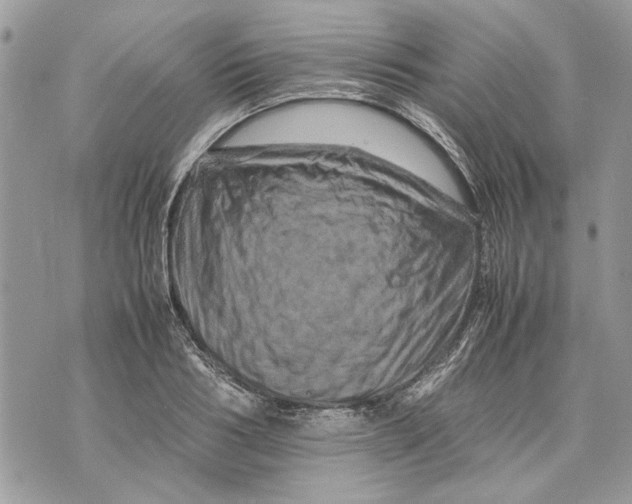 X0000070190986200606161546