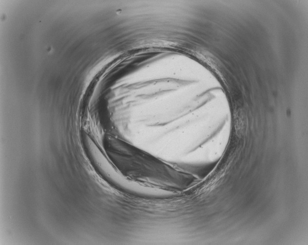 X0000070190987200606161546