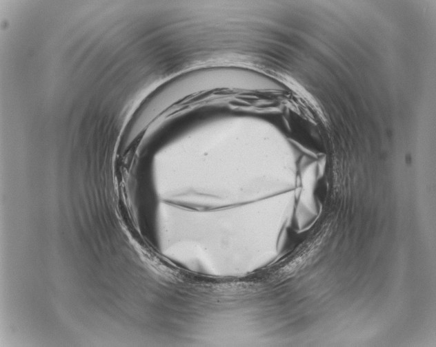 X0000070190988200606161546