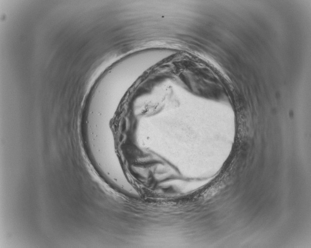 X0000070190991200606161546