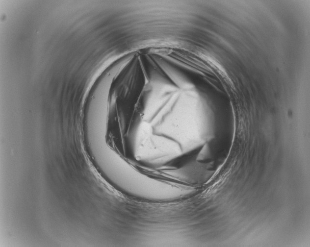 X0000070190992200606161546