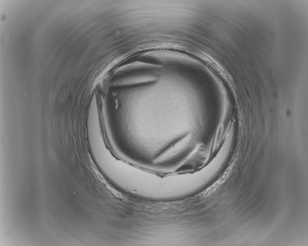 X0000070190993200606161546