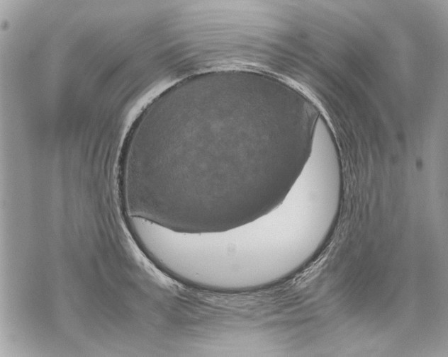 X0000070190995200606161546