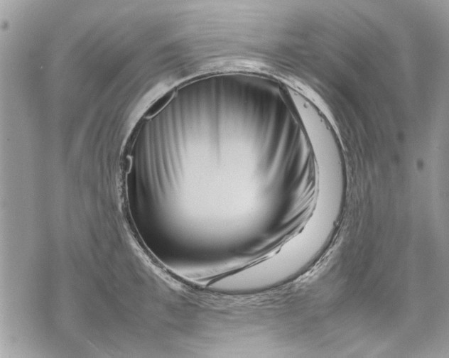 X0000070190997200606161546