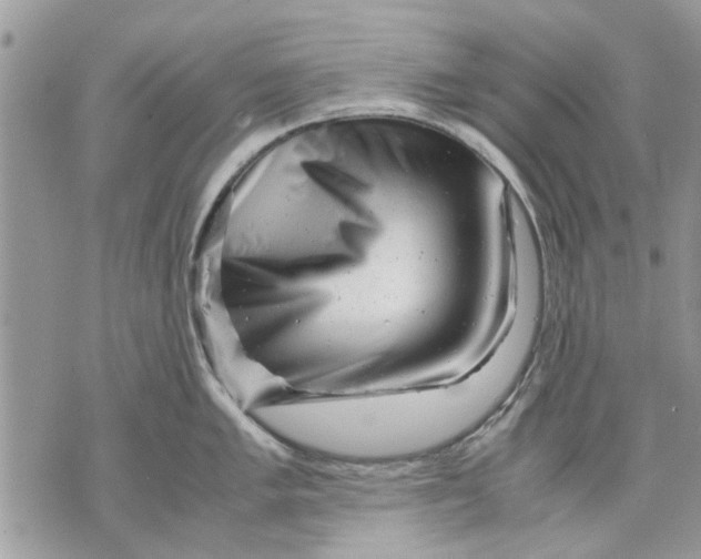 X0000070191005200606161546