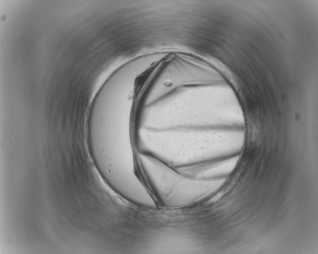 X0000070191006200606161546