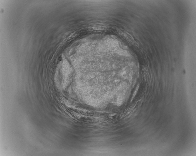 X0000070191009200606161545