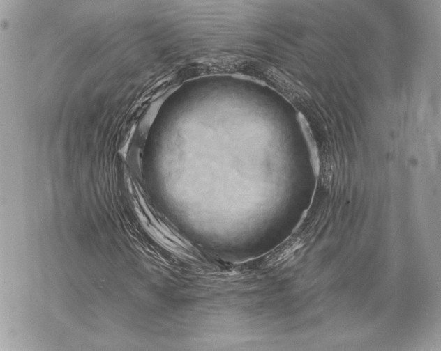 X0000070191010200606161545