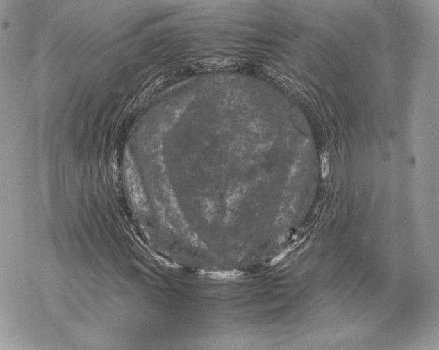 X0000070191011200606161545