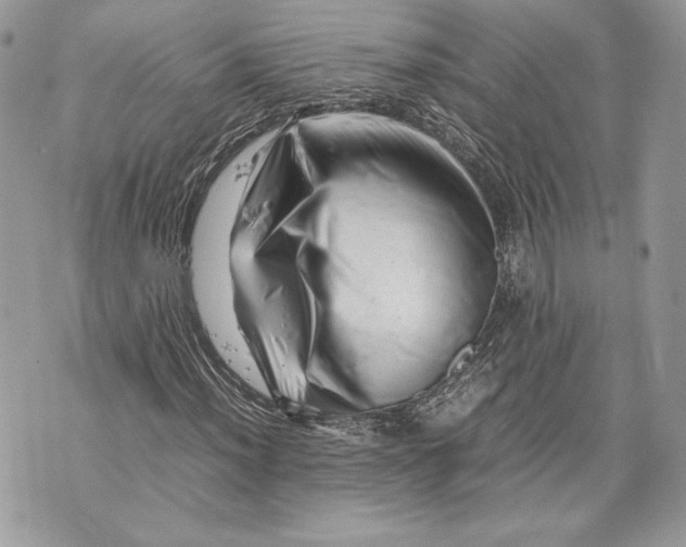 X0000070191012200606161545