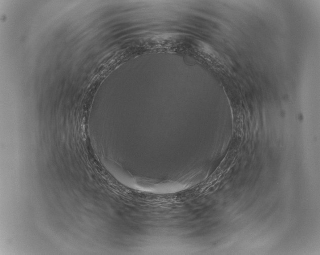 X0000070191013200606161545