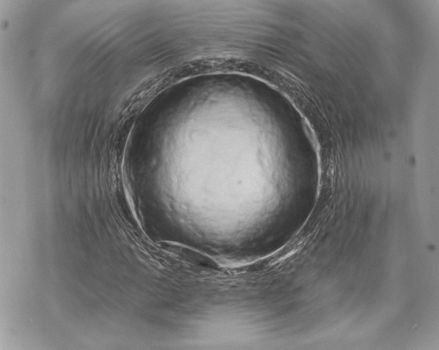 X0000070191014200606161545