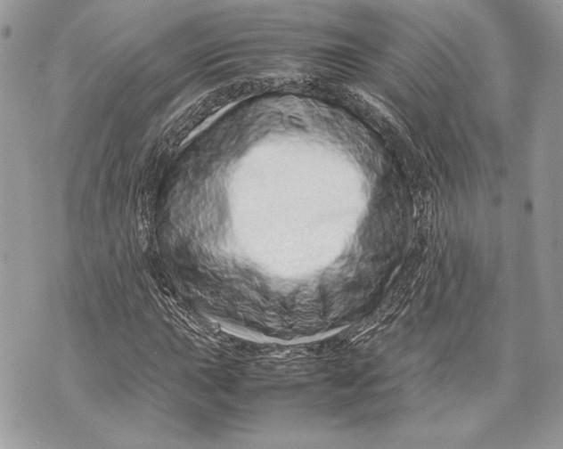 X0000070191015200606161545