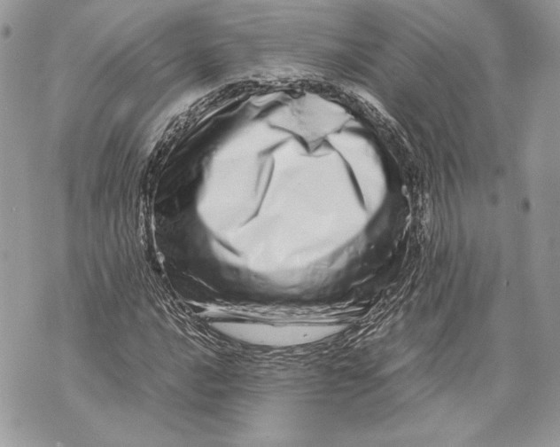 X0000070191016200606161545