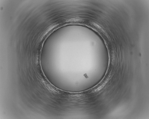 X0000070191017200606161545