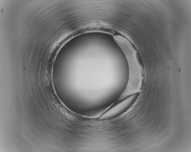 X0000070191018200606161545