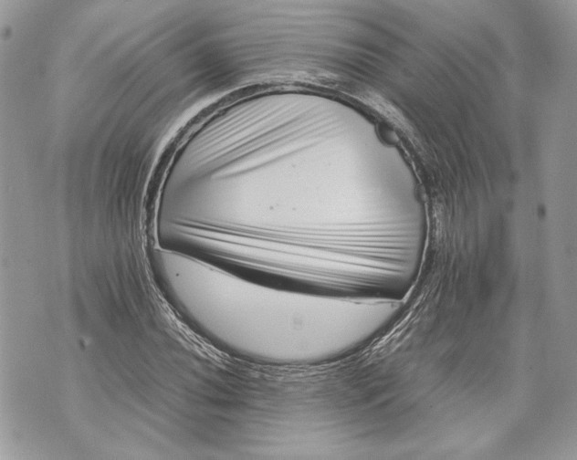 X0000070191020200606161545