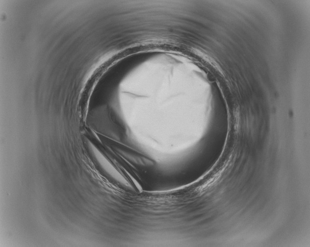 X0000070191021200606161545