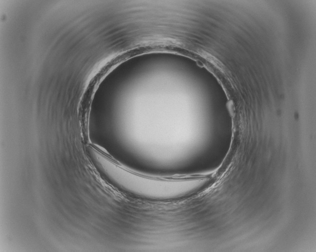 X0000070191022200606161545