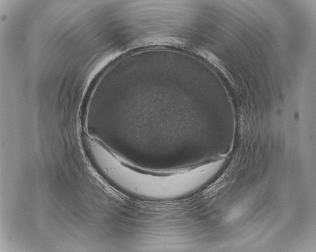 X0000070191024200606161545