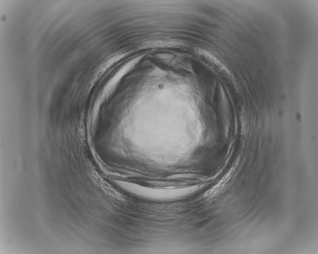 X0000070191025200606161545