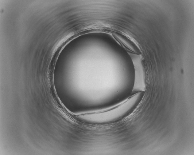 X0000070191026200606161545