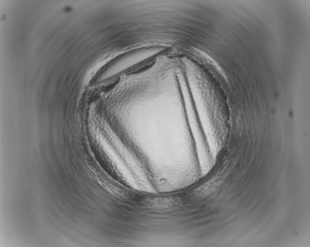 X0000070191027200606161545