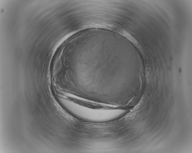 X0000070191028200606161545