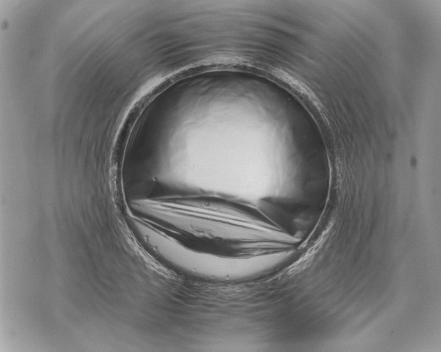 X0000070191029200606161545