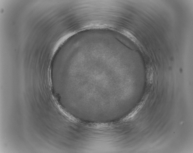 X0000070191030200606161545