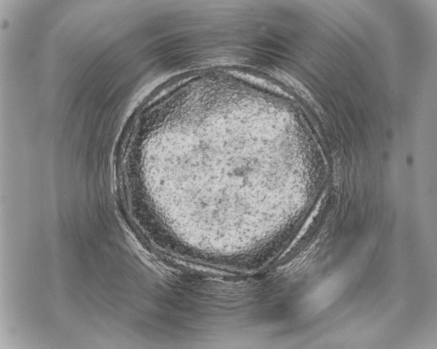 X0000070191031200606161545