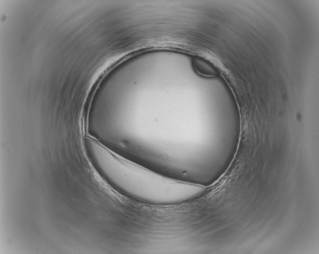 X0000070191032200606161545