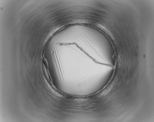 X0000070191033200606161546