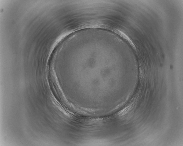 X0000070191035200606161546