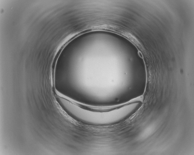 X0000070191036200606161546