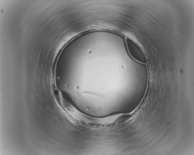 X0000070191040200606161546