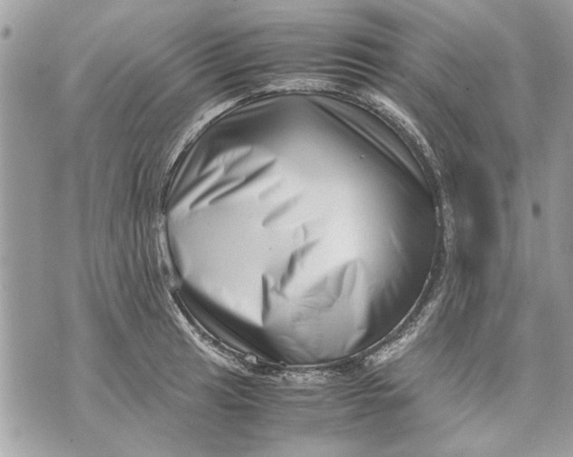 X0000070191041200606161546